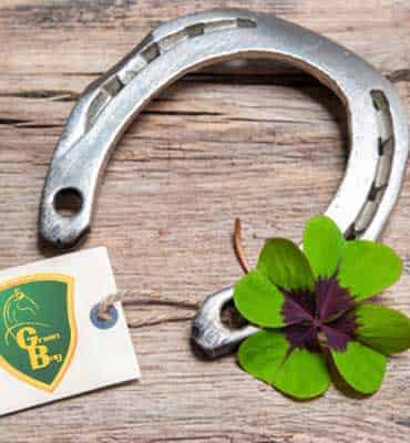 Actividades a Medida con Caballos