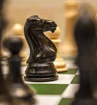 Team Building con Caballos