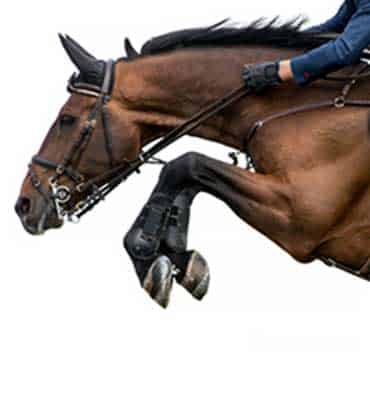 Clases de Salto de Obstáculos