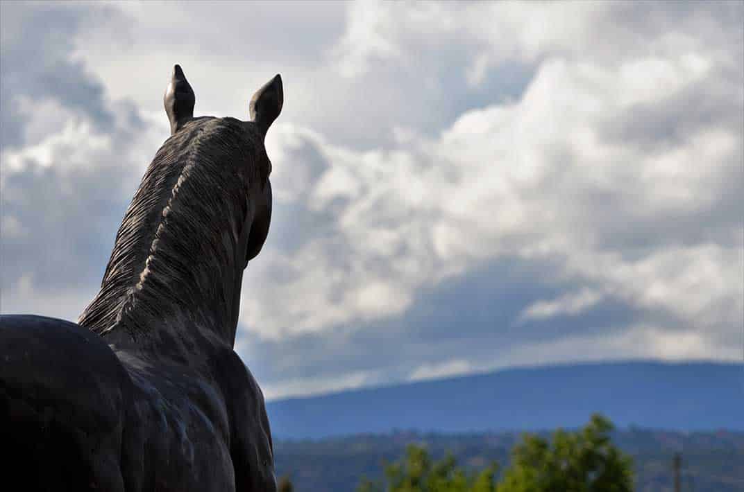 Estatua Podium Green Bay