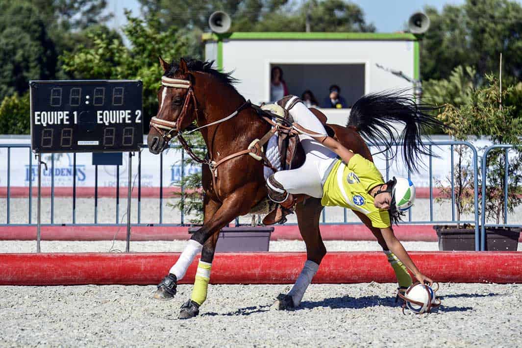 HorseBall - Recogida de Ramassage