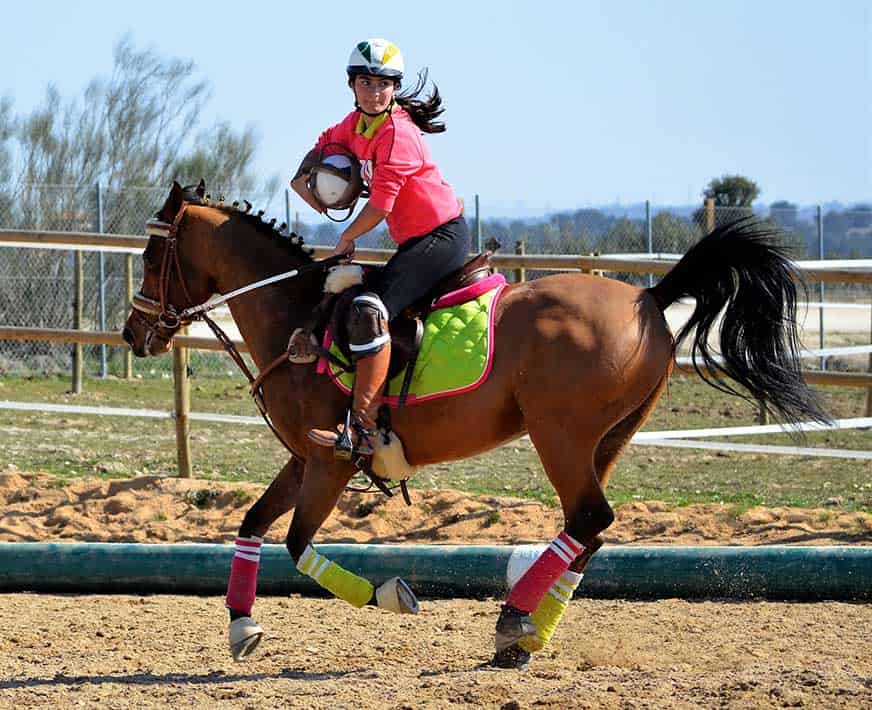 HorseBall Entrenamiento