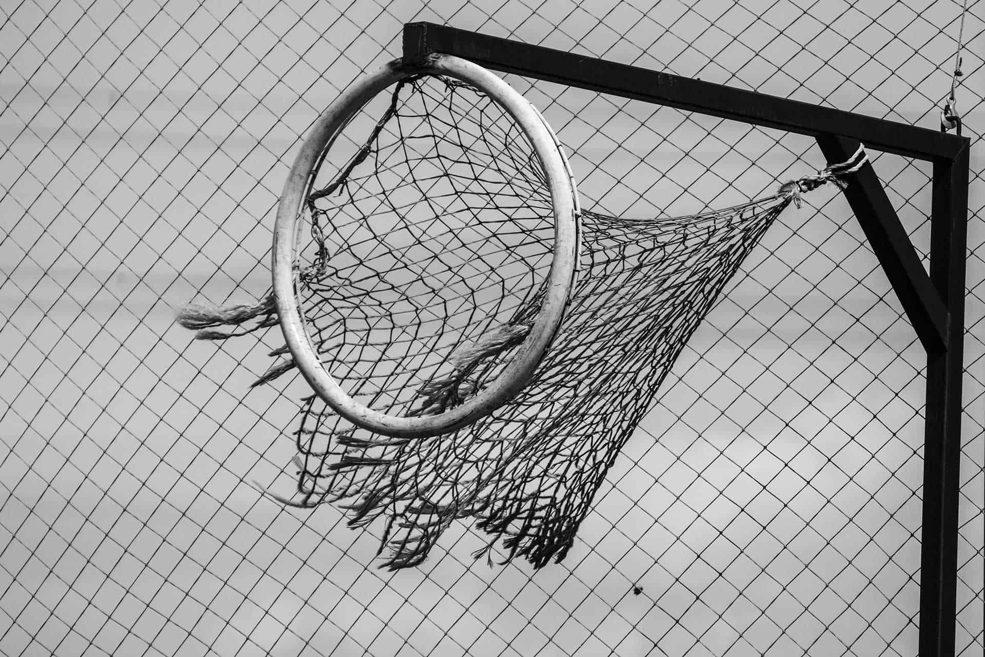 Green Bay - Escuela de Equitación