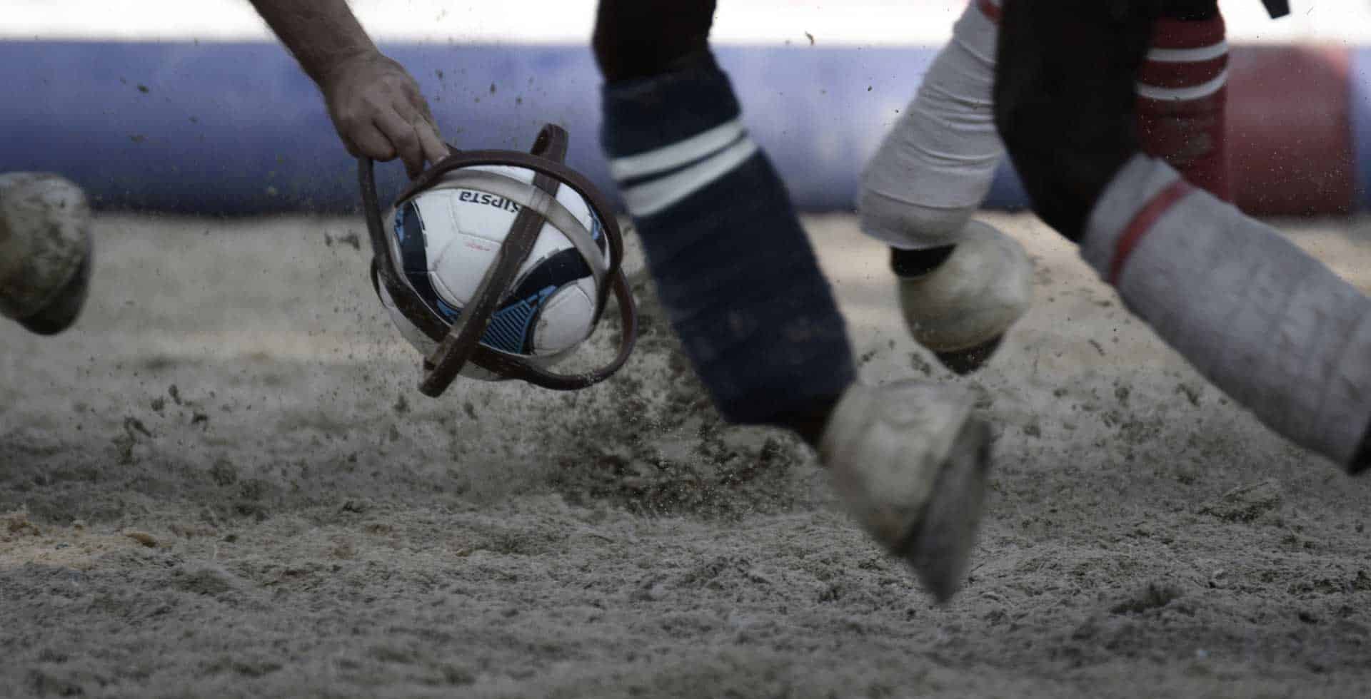 Pupilaje de Caballos