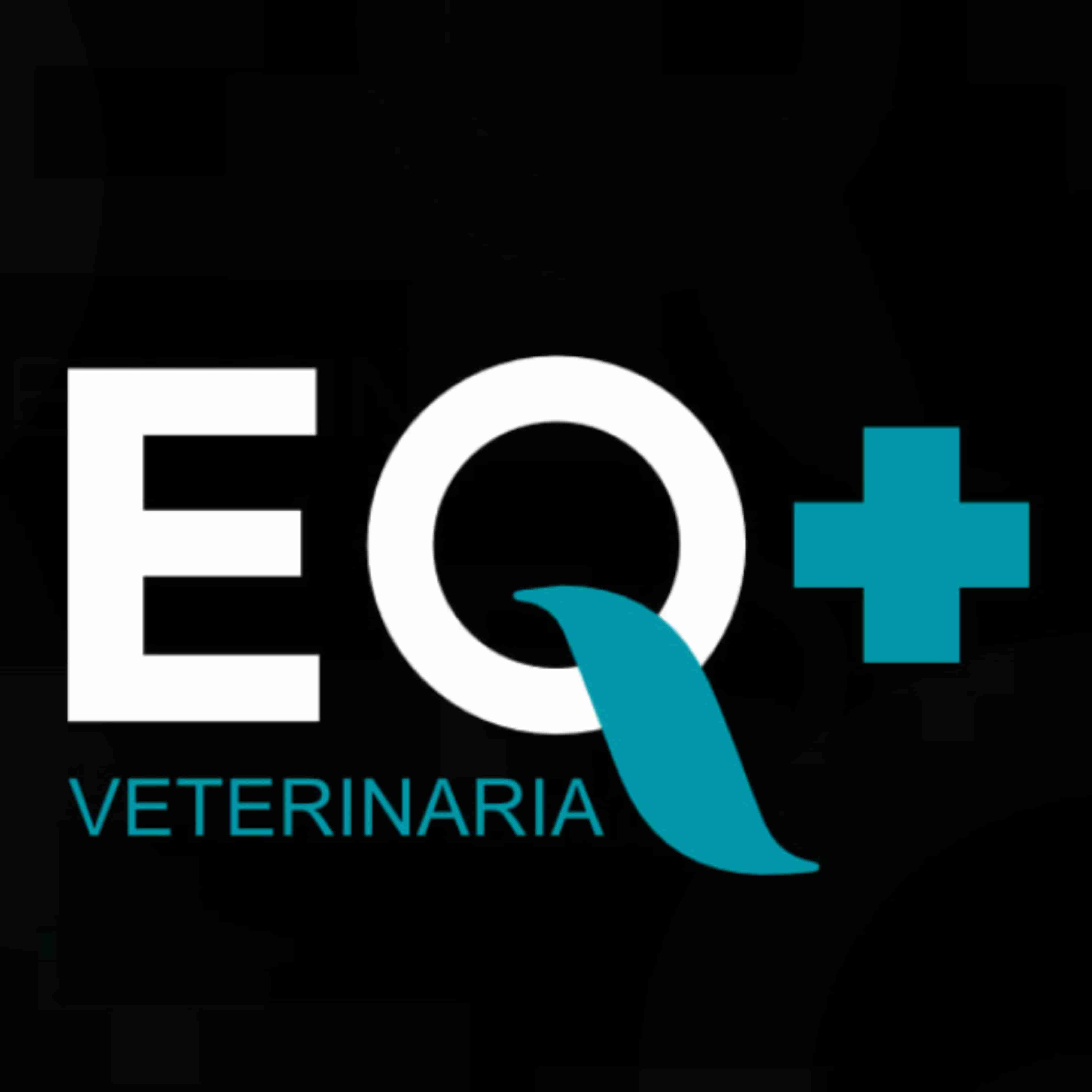 EQ+ Veterinarios